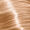 10.5 Extra Light Blonde Mahogany