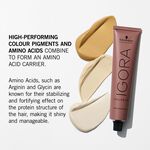 Schwarzkopf Professional Igora Color 10 Permanent Hair Colour 900