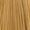 8.3 Light Gold Blonde