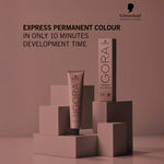 Schwarzkopf Professional Igora Color 10 Permanent Hair Colour 900