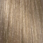 L'Or&eacute;al Professionnel INOA Permanent Hair Colour - 10.1 Lightest Natural Ash Blonde 60ml