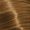 Sahara Blonde Extra Light Beige