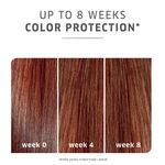Wella Professionals Colormotion+ ATB Mask 500ml