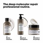 L'Or&eacute;al Professionnel Serie Expert Absolut Repair Molecular Mask 500ml
