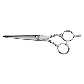Saiza Scissors Tarantula 6 inch