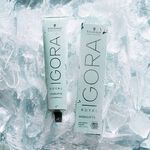 Schwarzkopf Professional Igora Royal Highlifts Permanent Hair Colour - 12-1 Special Blonde Cendr&eacute; 60ml