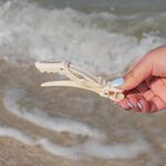Framar Beach Bum Gator Grips, Pack of 4
