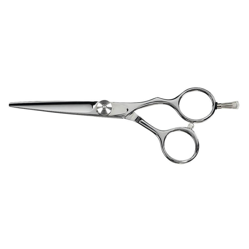 Saiza Scissors Tarantula 5.5 inch