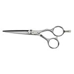 Saiza Scissors Tarantula 5.5 inch