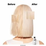 L'Or&eacute;al Professionnel Serie Expert Silver Professional Shampoo 300ml