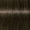 Light Brown Cendr&eacute;