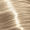 10.81 Extra Light Blonde Pearl Ash