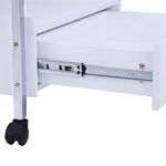 S-PRO Beauty Trolley Texas