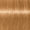 Extra Light Blonde Gold Copper