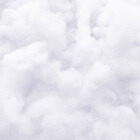 Cotton Wool & Tissues