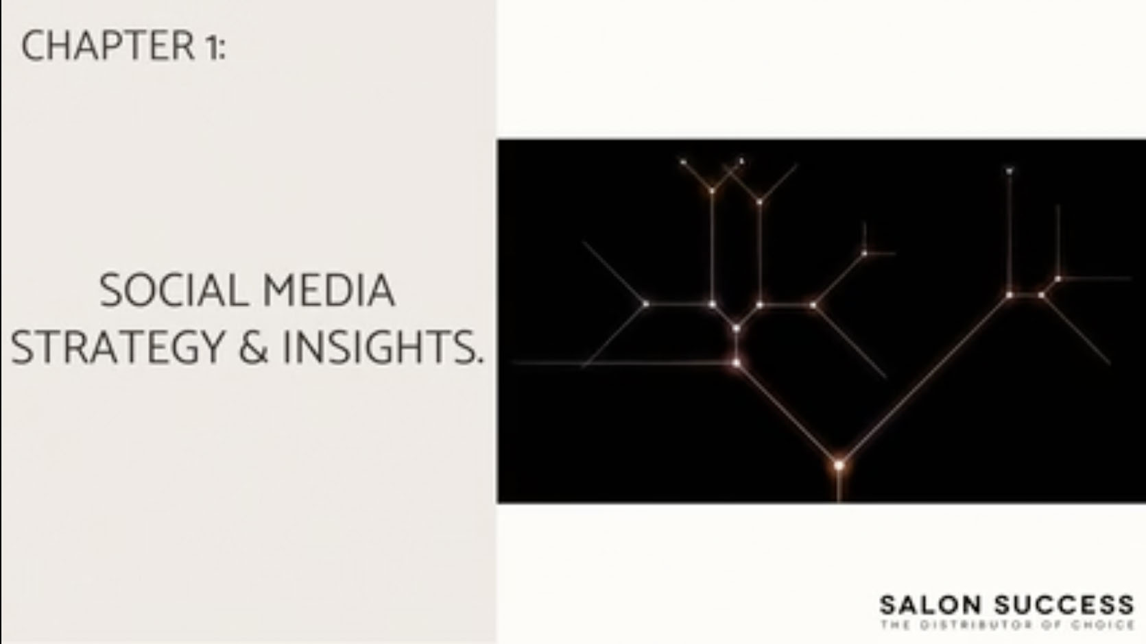 Social Media Strategy & Insights Chapter 1