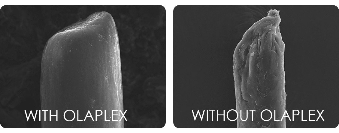 Olaplex diagram of hair shaft with and without Olaplex Olaplex diagram of hair shaft with and without Olaplex